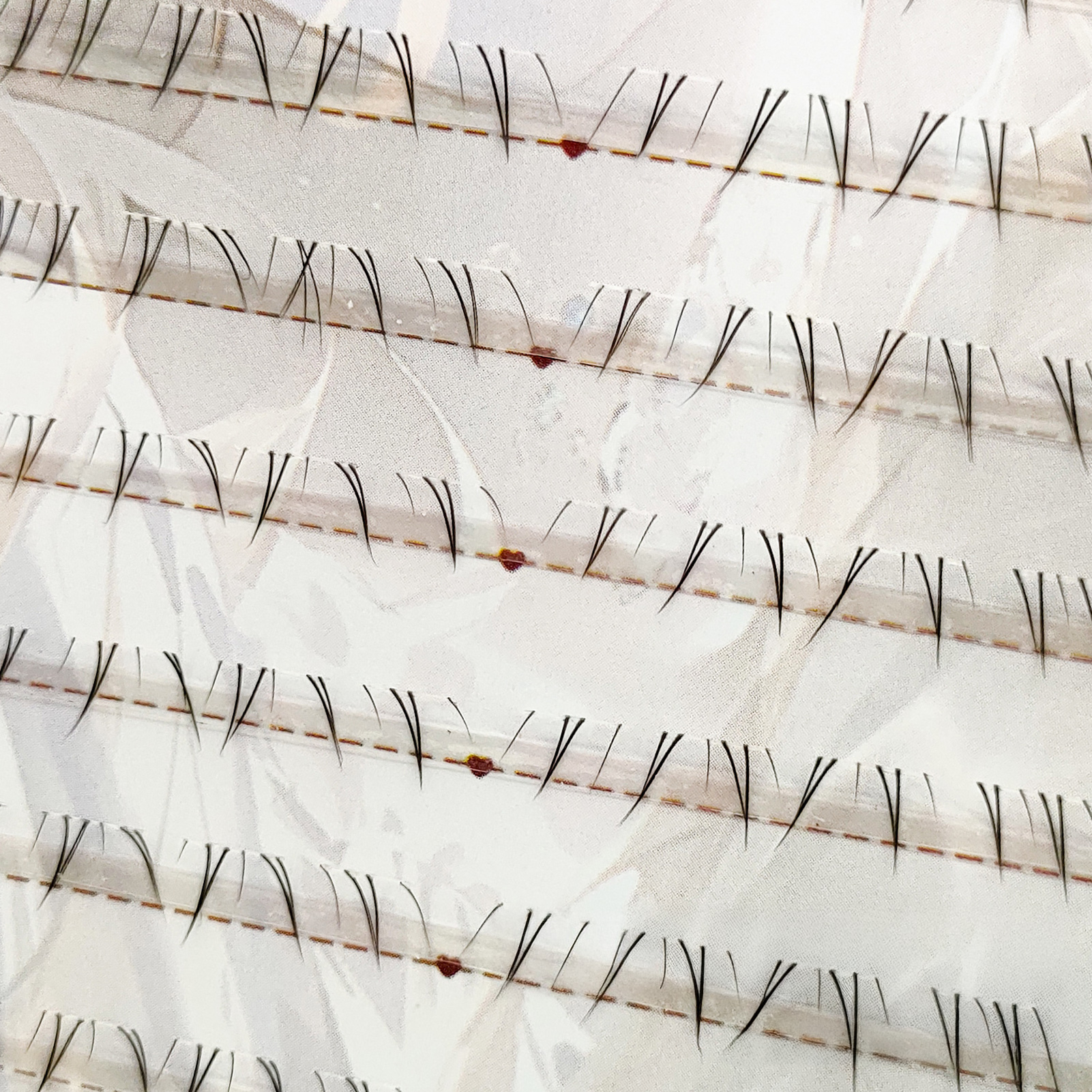 Soft Manga Bottom Lower Eyelas - Eyelash Extensions 리뷰 및 가격