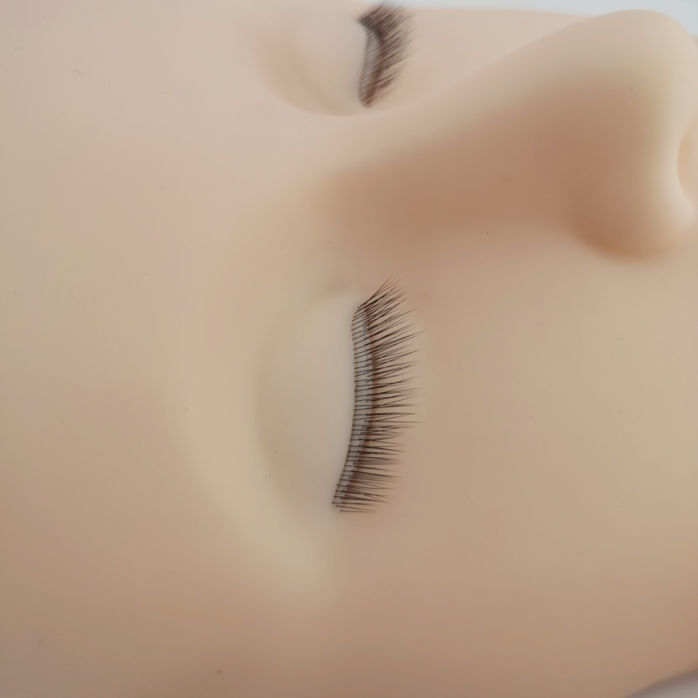4D Eyelash Extension Practice  - Eyelash Extension Model 리뷰 및 가격